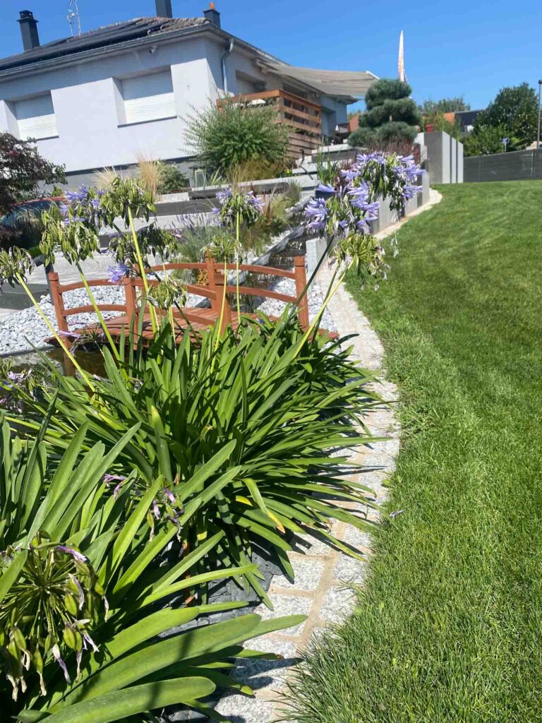 Plantations et engazonnement réalisés par Riehl Paysages
